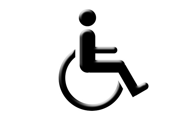 člověk na invalidním vozíku